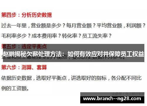 赵鹏揭秘欠薪处理方法:如何有效应对并保障员工权益 赵鹏揭秘欠薪处理方法:如何有效应对并保障员工权益