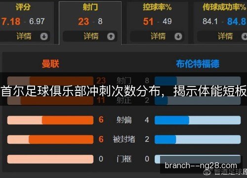 首尔足球俱乐部冲刺次数分布，揭示体能短板